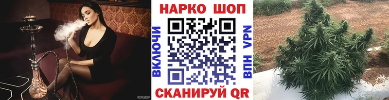 Купить закладку Конопля  Мефедрон  Сурск